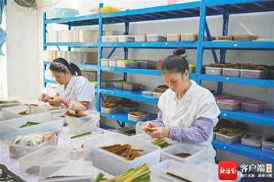 深读 | 以虫养虫再以虫治虫 探秘海南"天敌工厂"
