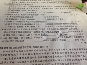 一般,我们阅读一部长篇作品,可以先读 ,了解大意,然后读整部