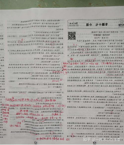 做语文阅读题先读题还是先看文章