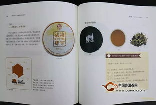 大益普洱茶品鉴升级版 精通普洱 先读为快
