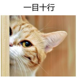 轻松四招,帮你攻破河南专升本英语阅读理解