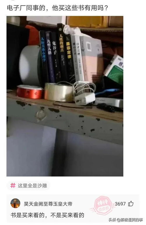 大哥啊,算我求求你了,自首吧,别再侮辱我的智商了